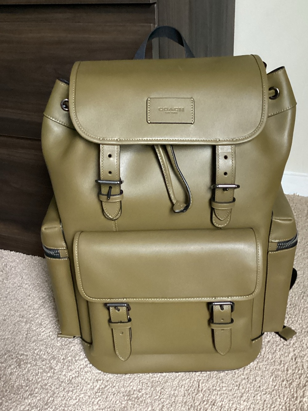 Coach Men's Leather Backpack in Olive